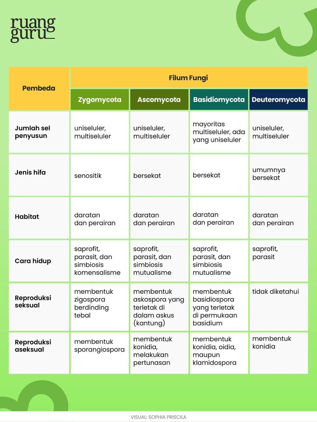 Yuk Ketahui 4 Klasifikasi Jamur Serta Ciri Cirinya Biologi Kelas 10